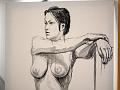 C P4520287-gx1-a